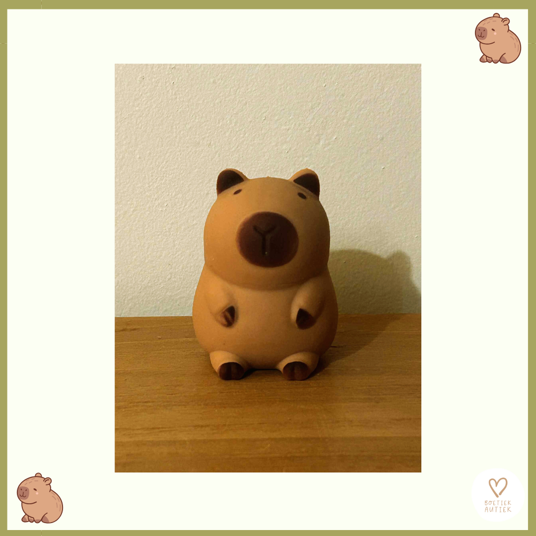 Knijpspeelgoed - fidget toy: capibara