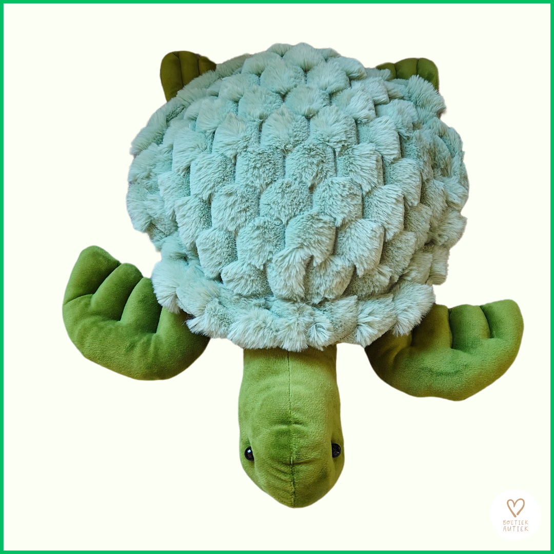 Sissie, de 'fluffy' verzwaringsschildpad: direct je beste vriend!