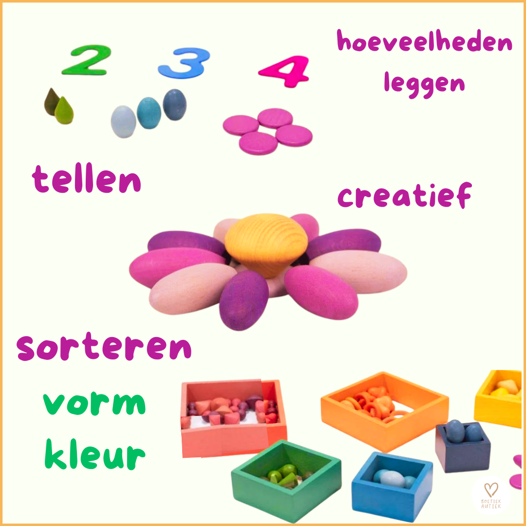 Houten schatten (startersset)