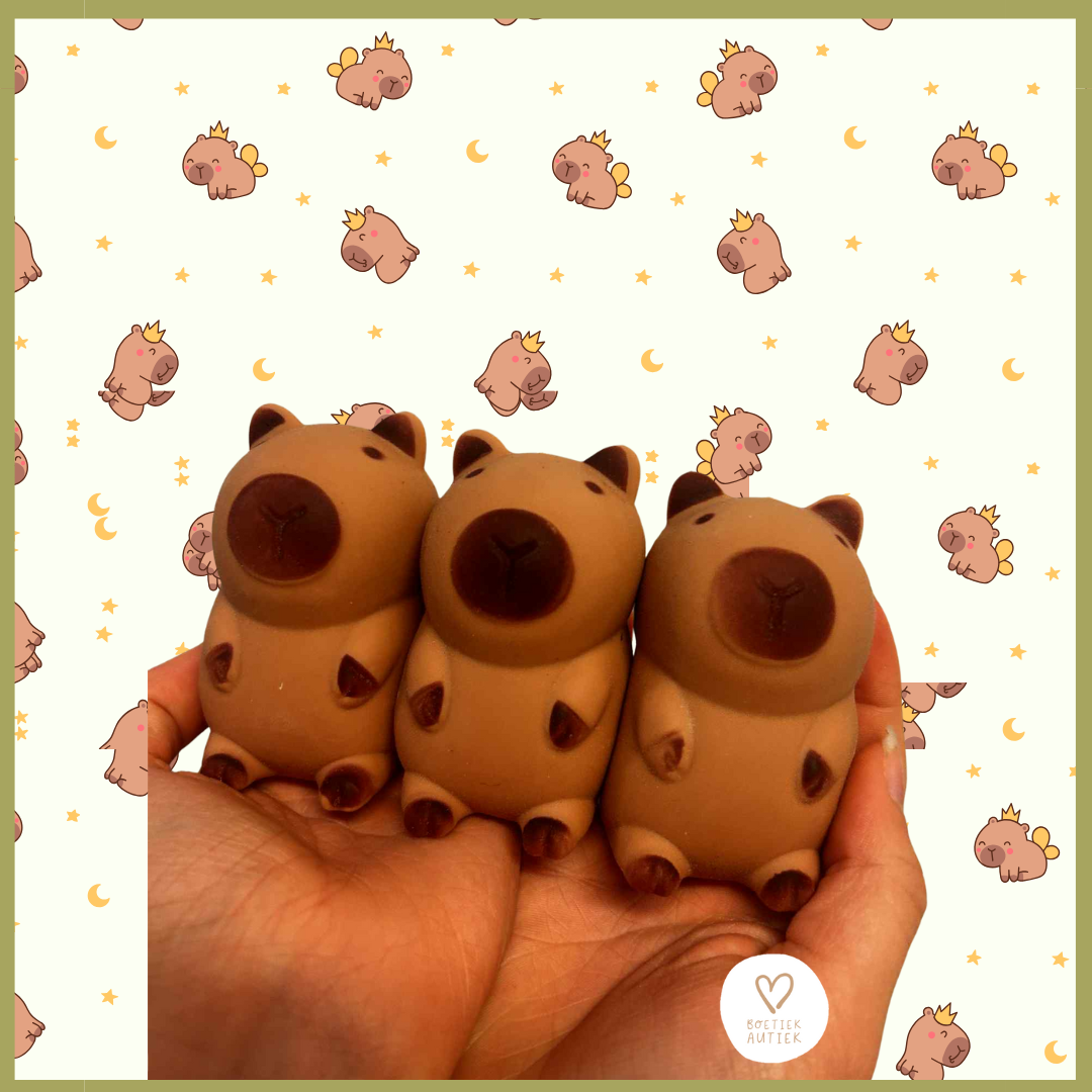 Knijpspeelgoed - fidget toy: capibara