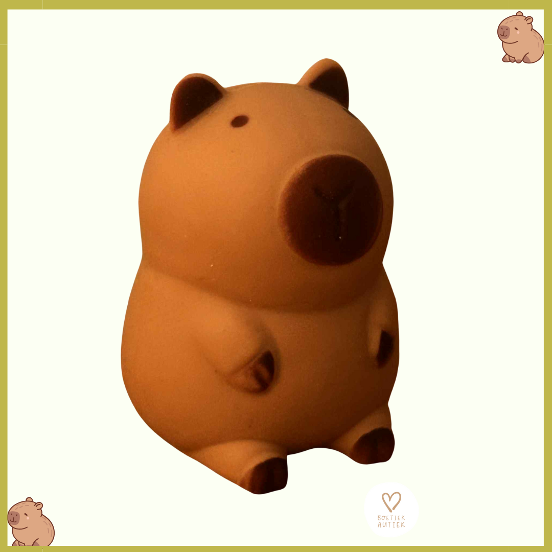 Knijpspeelgoed - fidget toy: capibara