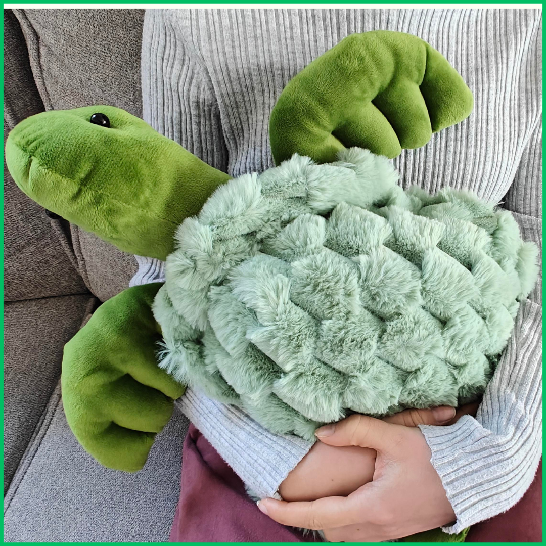Sissie, de 'fluffy' verzwaringsschildpad: direct je beste vriend!