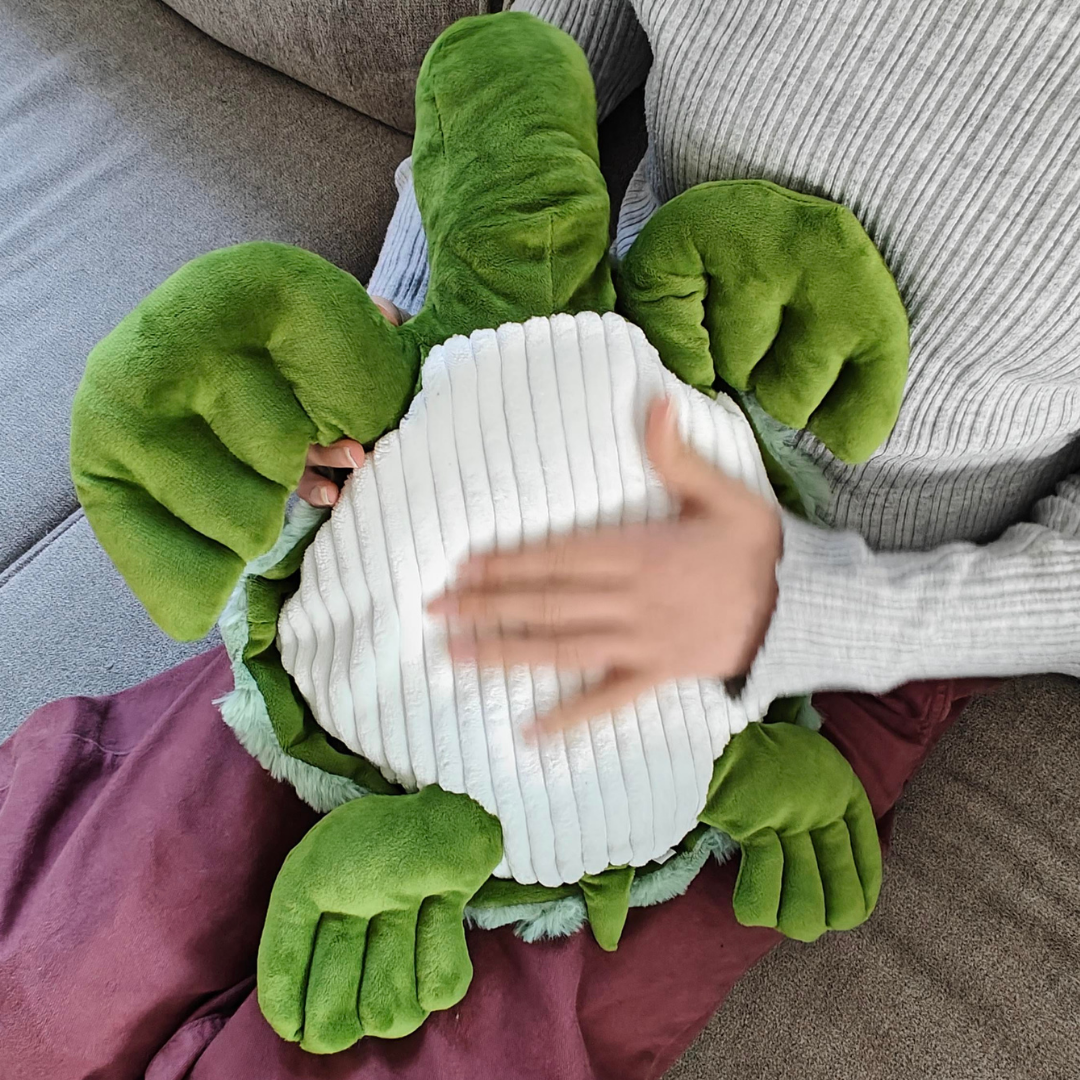 Sissie, de 'fluffy' verzwaringsschildpad: direct je beste vriend!