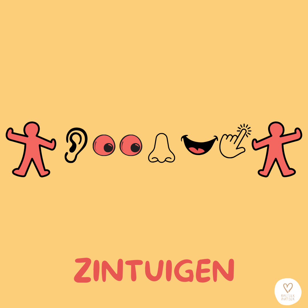 sensorische hulpmiddelen - zintuigen