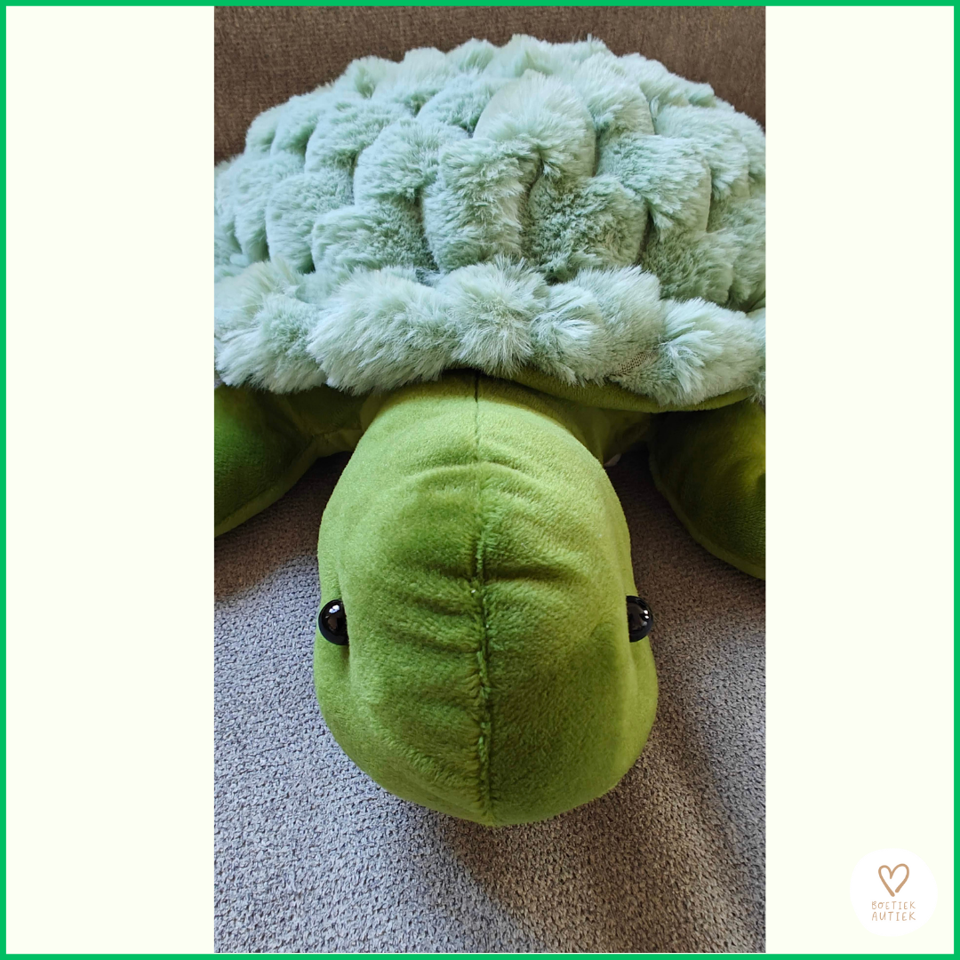 Sissie, de 'fluffy' verzwaringsschildpad: direct je beste vriend!