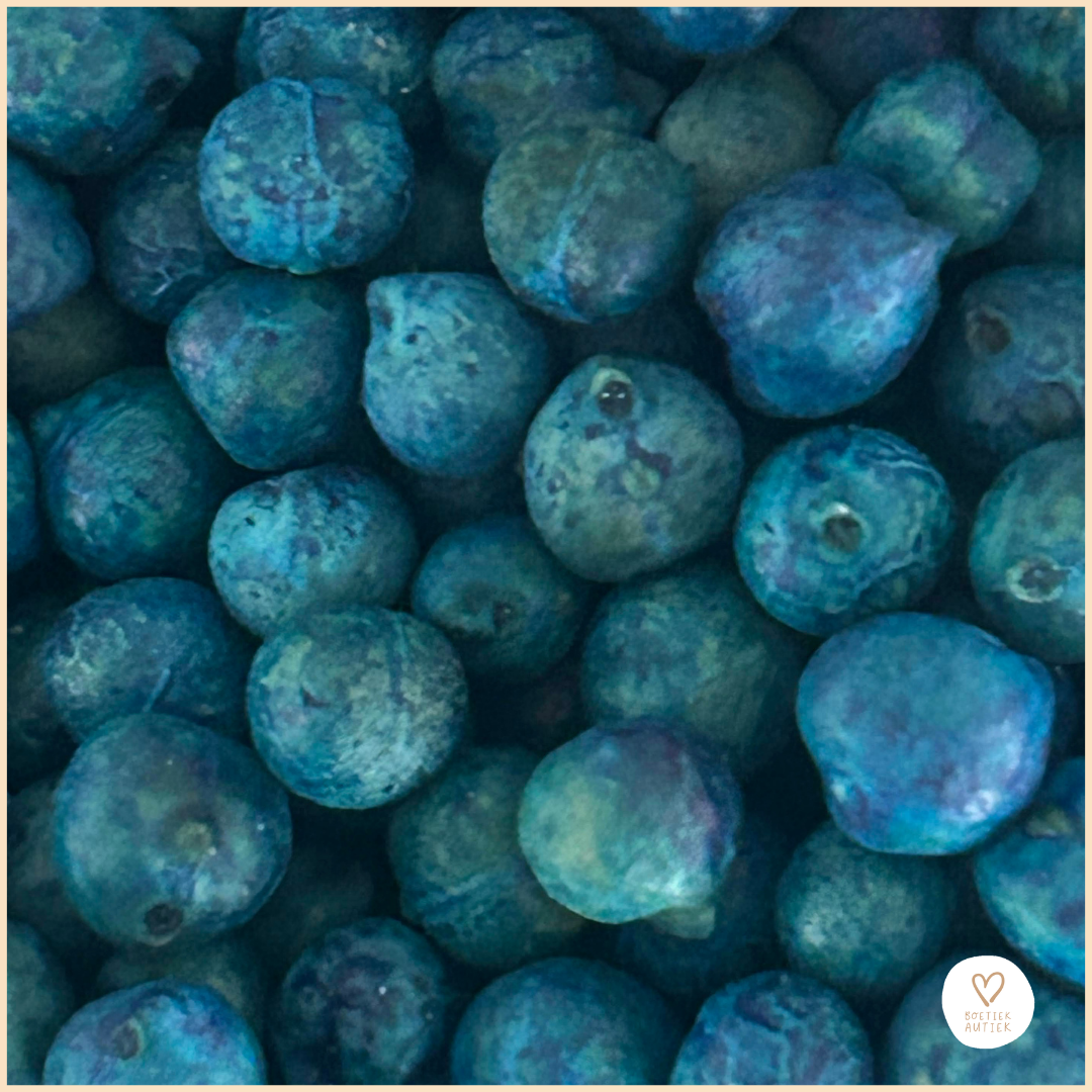 Vulvormen: dieren in en onder water!