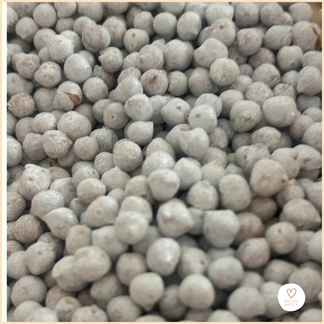 Vulvormen: dieren in en onder water!