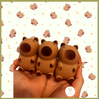Knijpspeelgoed - fidget toy: capibara