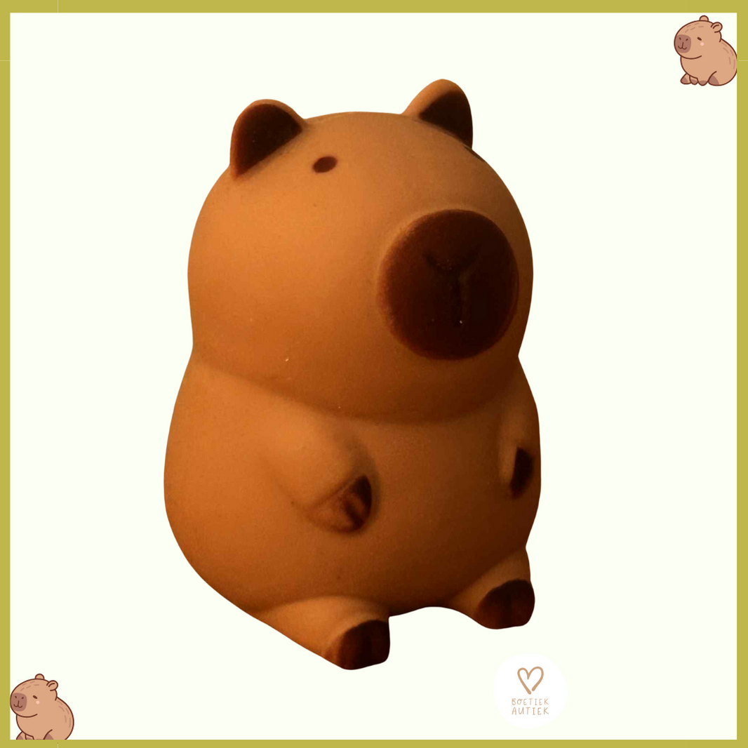 Knijpspeelgoed - fidget toy: capibara