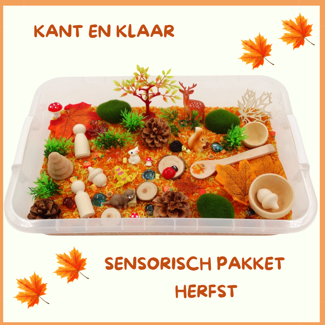 Sensorische speelwereld: HERFST