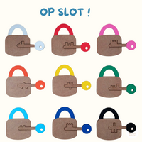 Educatieve sleutelset met meerdere leermogelijkheden.