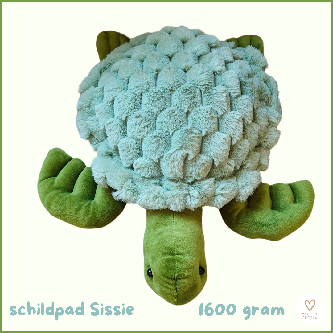 Schildpad Sissie, verzwaringsschildpad (1600g)